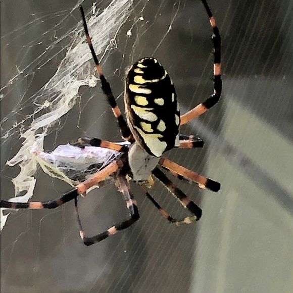 Meet your Poshers, Jim and Margy. - Picture 6 of 13